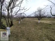 Prodaja, plac, 58m², Banjani, Ub - image 7