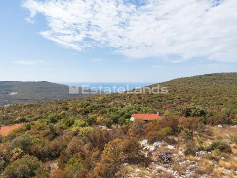 Pogled iz vazduha na prizemnu kuću okruženu prirodom i zelenilom. - image 12