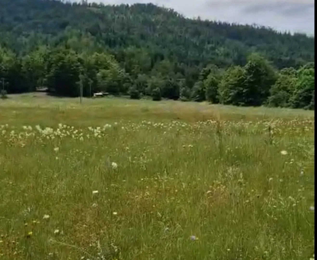 Prodaja, plac, 4300m², Veruša, Podgorica