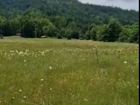 Prodaja, plac, 4300m², Veruša, Podgorica - image 4