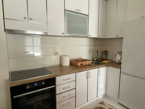 Izdavanje, jednosoban stan, 40m², Stari Aerodrom, Podgorica - image 11