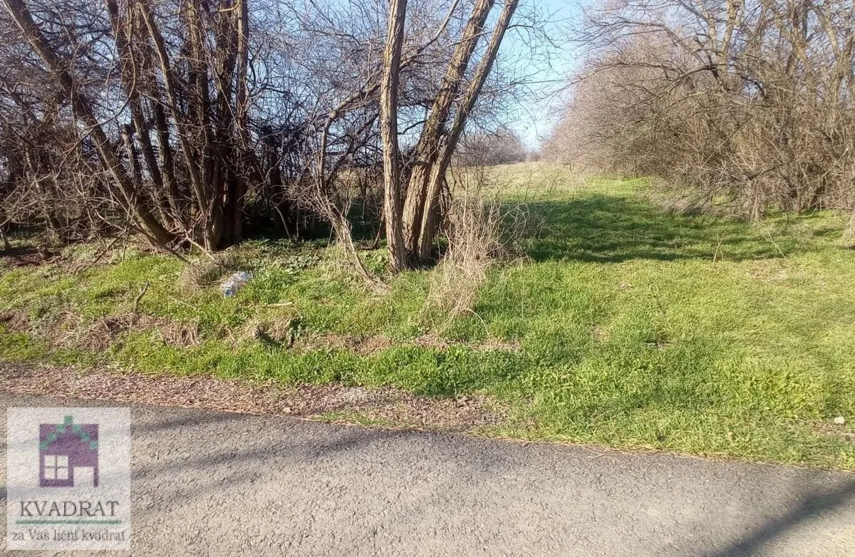 Sale, land lot, 7000m², Draževac, Obrenovac