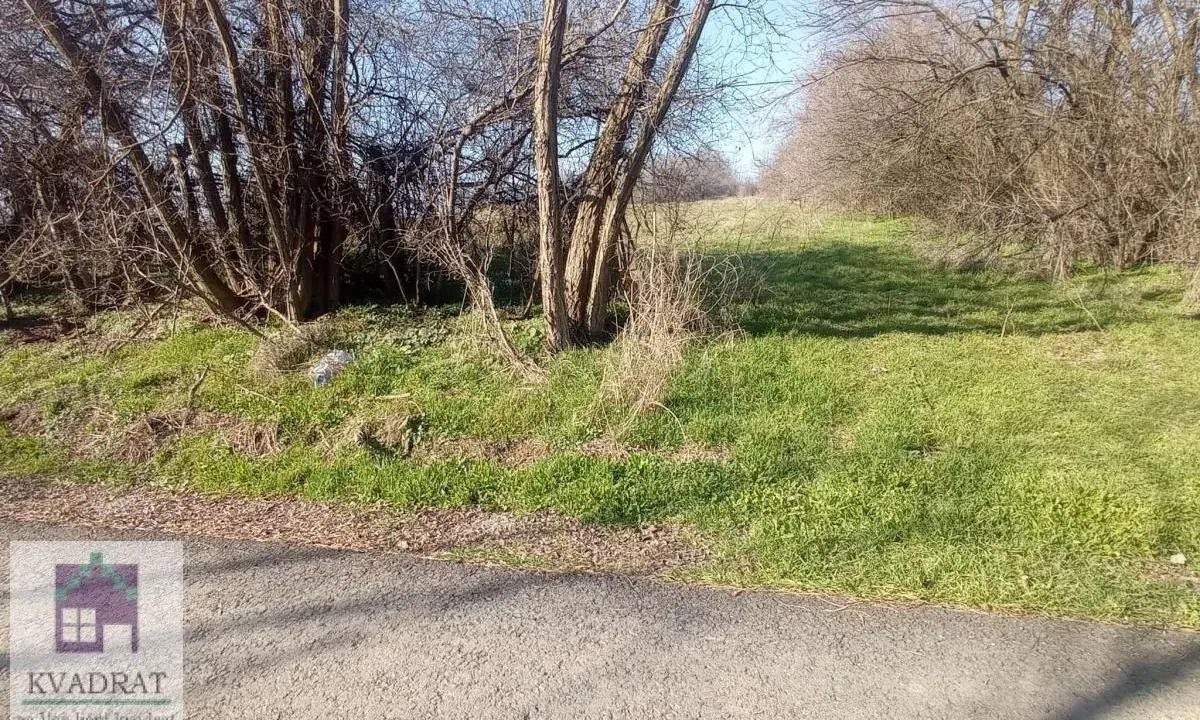 Sale, land lot, 7000m², Draževac, Obrenovac