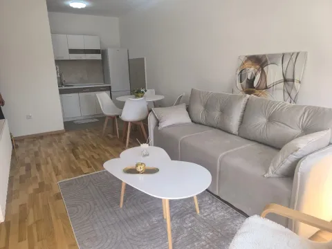 Rent, one bedroom apartment, 42m², Zagorič, Podgorica - image 2