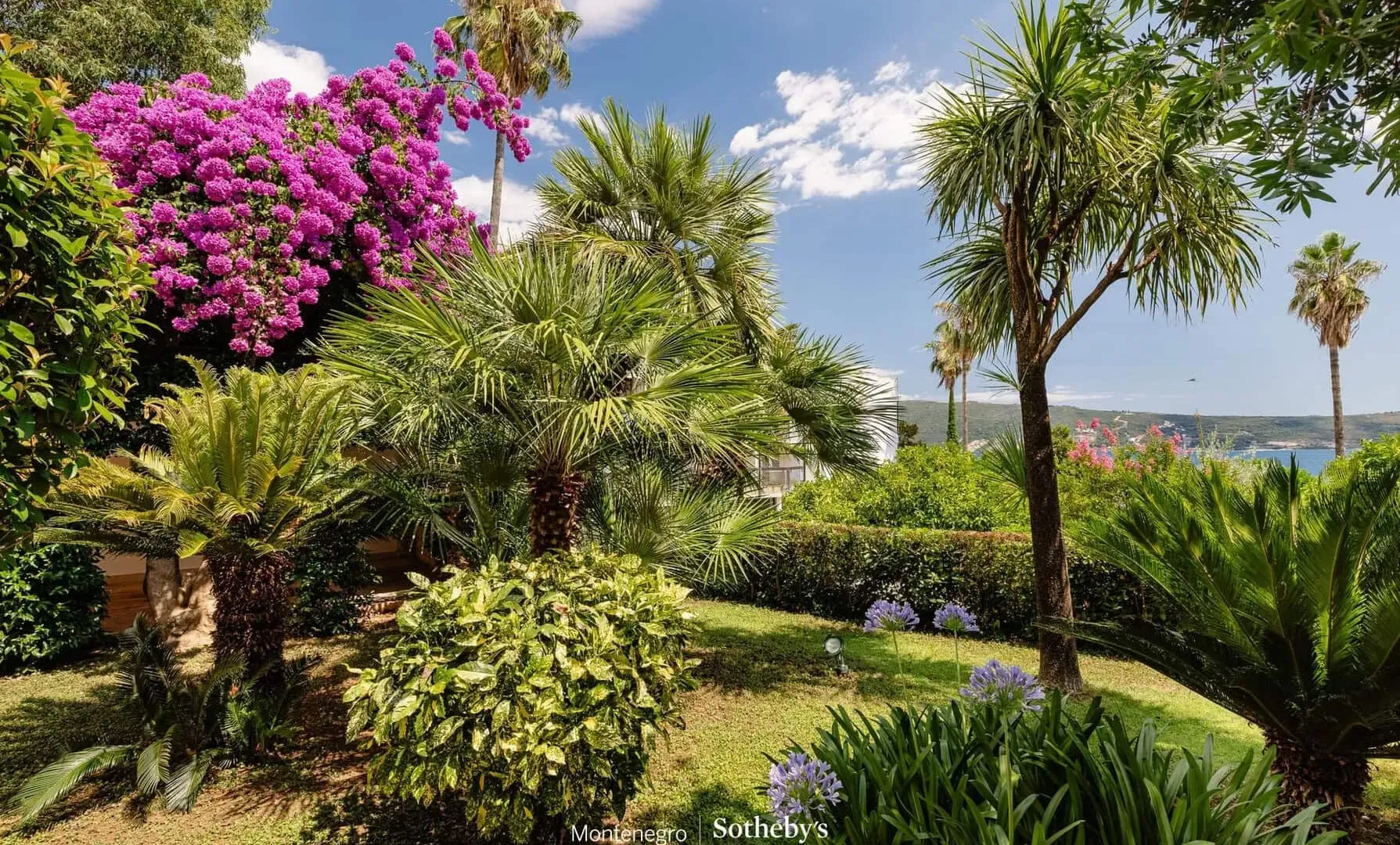 Sale, house, 233m², Savina, Herceg Novi