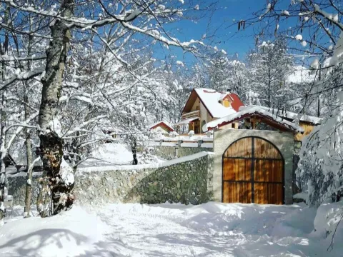 Sale, house, 7000m², Crkvine, Kolašin - image 2