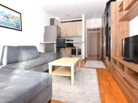 Izdavanje, garsonjera, 30m², Tuški Put, Podgorica - image 3