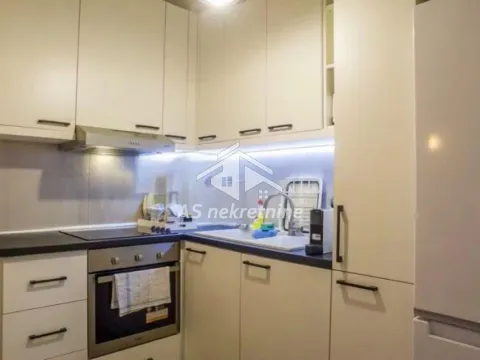 Izdavanje, dvosoban stan, 43m², Južni Bulevar, Vračar Sve Podlokacije - image 5