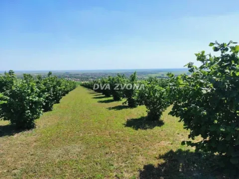 Prodaja, plac, 6800m², Stari Slankamen, Inđija - image 15