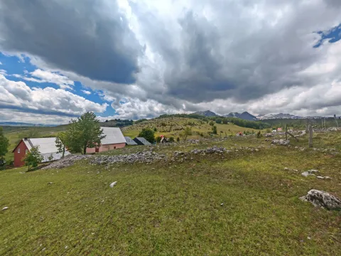 Prodaja, plac, 1000m², Motički gaj, Žabljak - image 3