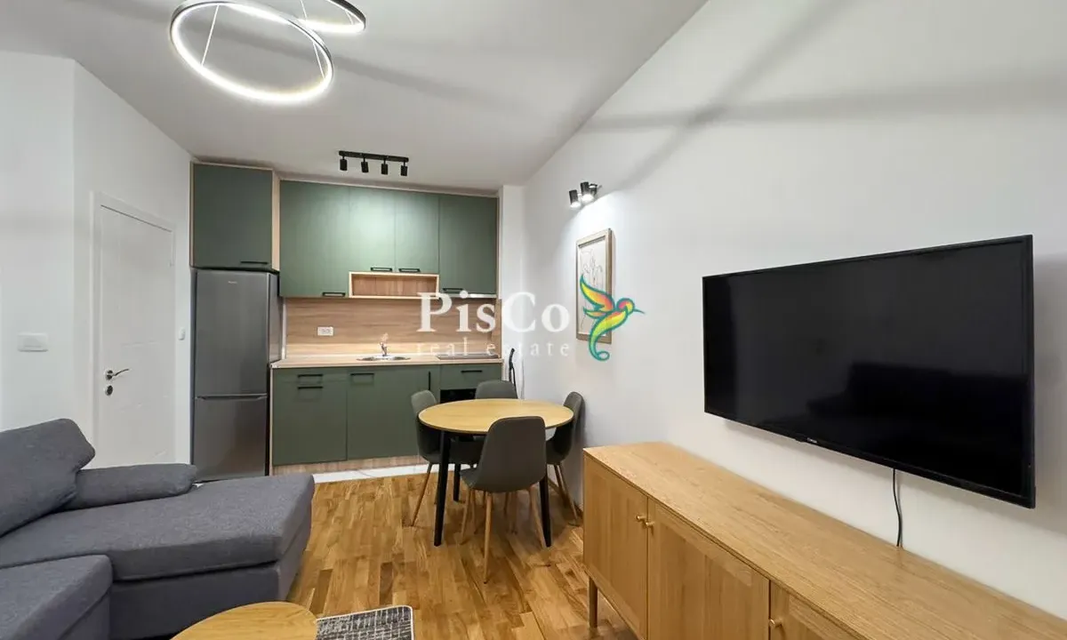 Rent, one bedroom apartment, 46m², Zagorič, Podgorica