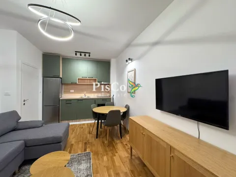 Rent, one bedroom apartment, 46m², Zagorič, Podgorica - image 1