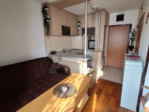 Sale, apartment, 19m², Zabjelo, Podgorica - image 5