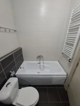 Kupatilo opremljeno kadom, toaletom i radijatorom za peškire. - image 6