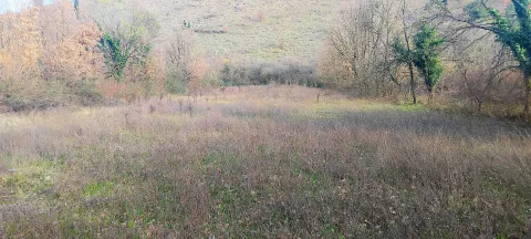 Pogled na prostrano zemljište okruženo drvećem i rastinjem. - image 8
