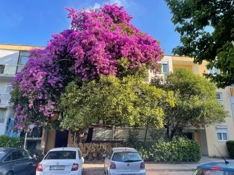 Izdavanje, garsonjera, 39m², Budva, Crna Gora - image 6