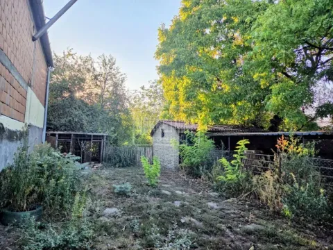 Dvorište sa pomoćnim objektima i zelenilom. - image 15