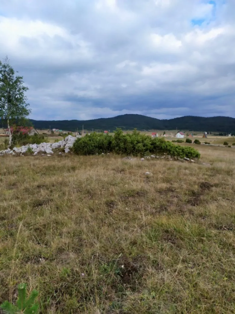 Prodaja, plac, 13600m², Njegovuđa, Žabljak