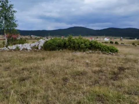 Prodaja, plac, 13600m², Njegovuđa, Žabljak - image 3