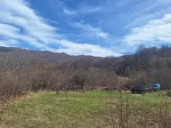 Prodaja, plac, 610m², Kolašin, Crna Gora - image 4