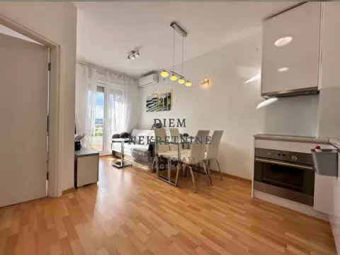 Izdavanje, jednosoban stan, 35m², Stari Aerodrom, Podgorica - image 4