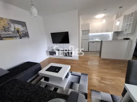 Rent, one bedroom apartment, 45m², Novi Sad Sve Podlokacije, Novi Sad - image 3