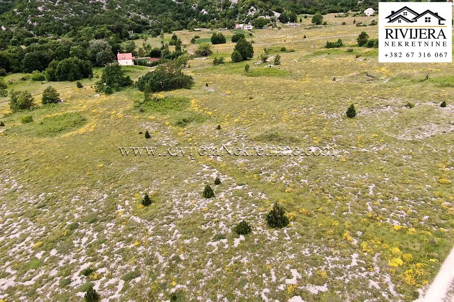 Prodaja, plac, 14200m², Vrbanj, Herceg Novi