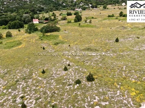 Sale, land lot, 14200m², Vrbanj, Herceg Novi - image 12