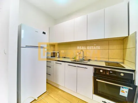 Izdavanje, jednosoban stan, 54m², Stari Aerodrom, Podgorica - image 4