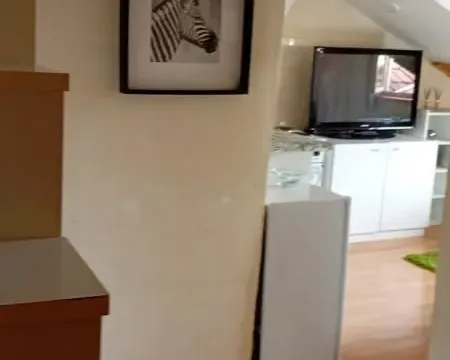 Izdavanje, jednosoban stan, 38m², Novi Sad, Srbija - image 3