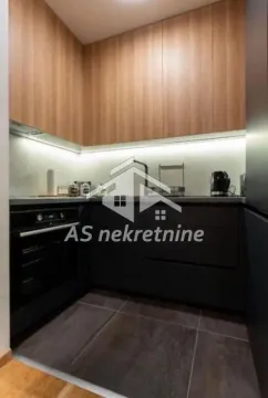 Izdavanje, dvosoban stan, 55m², Južni Bulevar, Vračar Sve Podlokacije - image 9