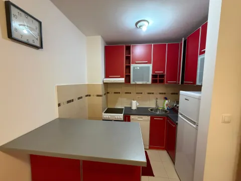 Rent, one bedroom apartment, 45m², Stari Aerodrom, Podgorica - image 9