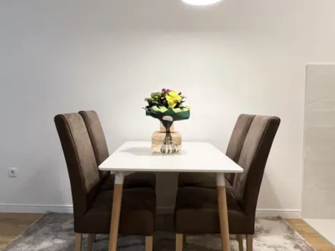 Izdavanje, jednosoban stan, 49m², Central Point, Podgorica - image 4