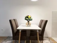 Izdavanje, jednosoban stan, 49m², Central Point, Podgorica - image 4