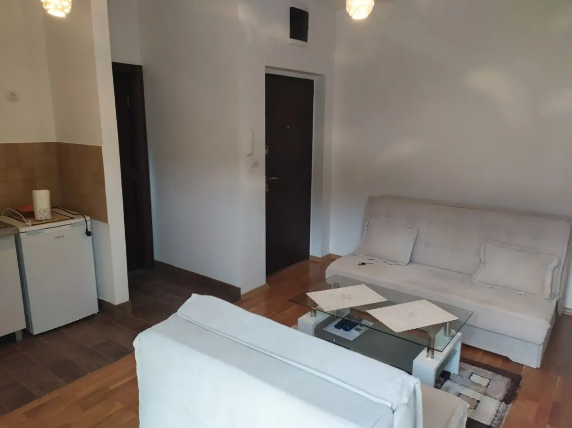 Izdavanje, garsonjera, 25m², Lazi, Budva