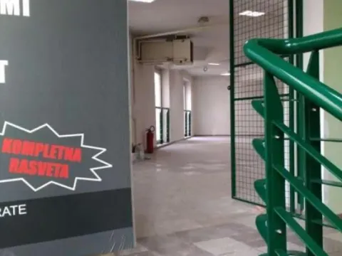 Izdavanje, poslovni prostor, 237m², Zemun Centar, Zemun Sve Podlokacije - image 4