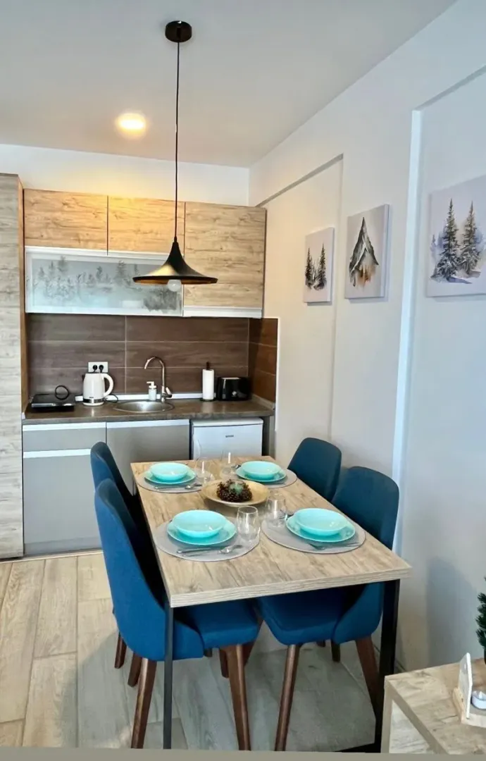 Sale, one bedroom apartment, 29m², Kraljevi Čardaci, Kopaonik