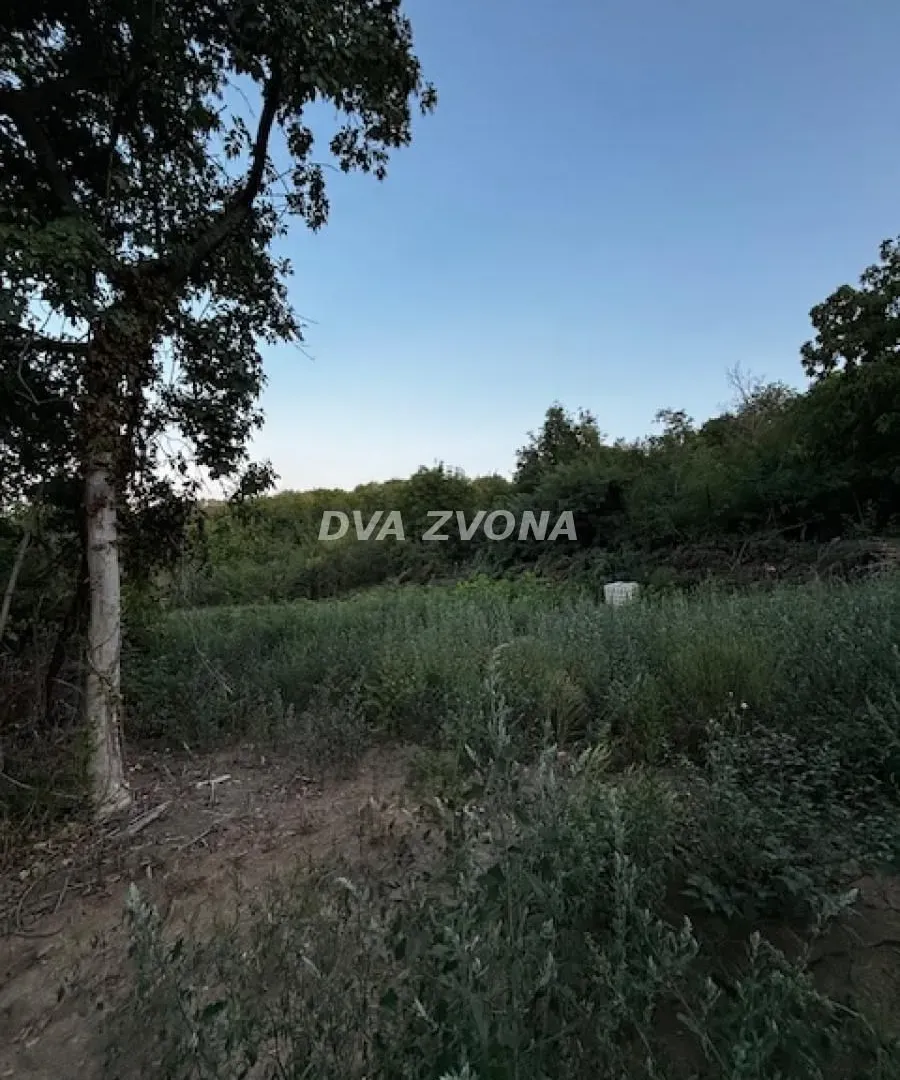 Prodaja, plac, 600m², Čortanovci, Inđija