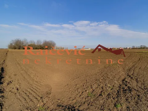 Prodaja, plac, 7700m², Zemun Sve Podlokacije, Beograd - image 4