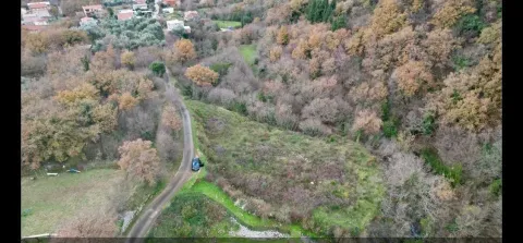 Prodaja, plac, 2420m², Šišići, Kotor - image 3