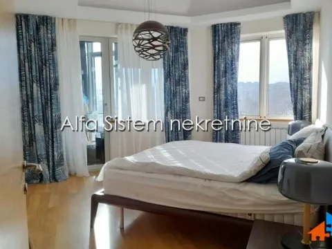 Izdavanje, stan, 200m², Novi Beograd Sve Podlokacije, Beograd - image 5