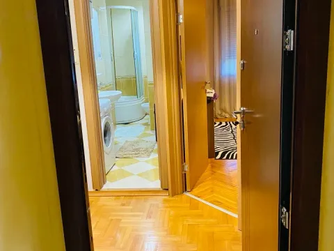 Izdavanje, jednosoban stan, 50m², Zagorič, Podgorica - image 10