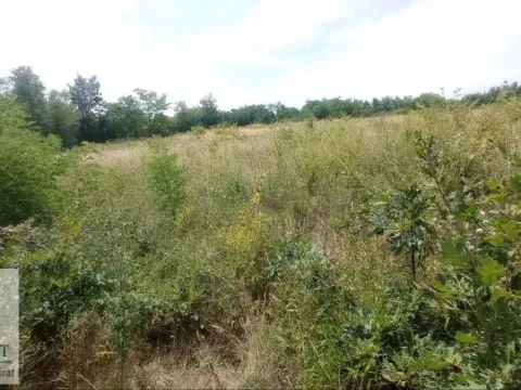 Sale, land lot, 1000m², Draževac, Obrenovac - image 7