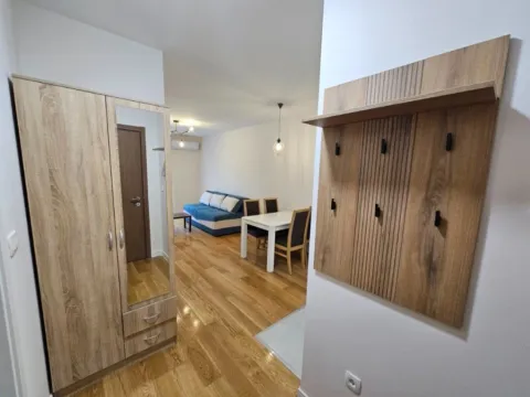 Izdavanje, jednosoban stan, 40m², Central Point, Podgorica - image 4