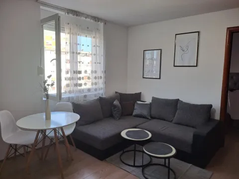 Izdavanje, jednosoban stan, 45m², Centar, Podgorica - image 1