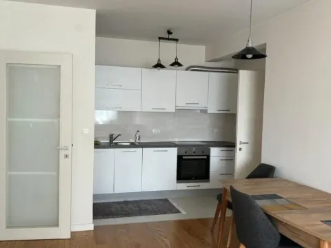 Izdavanje, jednosoban stan, 53m², Central Point, Podgorica
