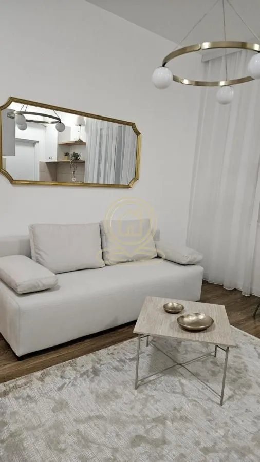 Izdavanje, dvosoban stan, 40m², Čubura, Beograd