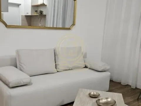 Izdavanje, dvosoban stan, 40m², Čubura, Beograd - image 2
