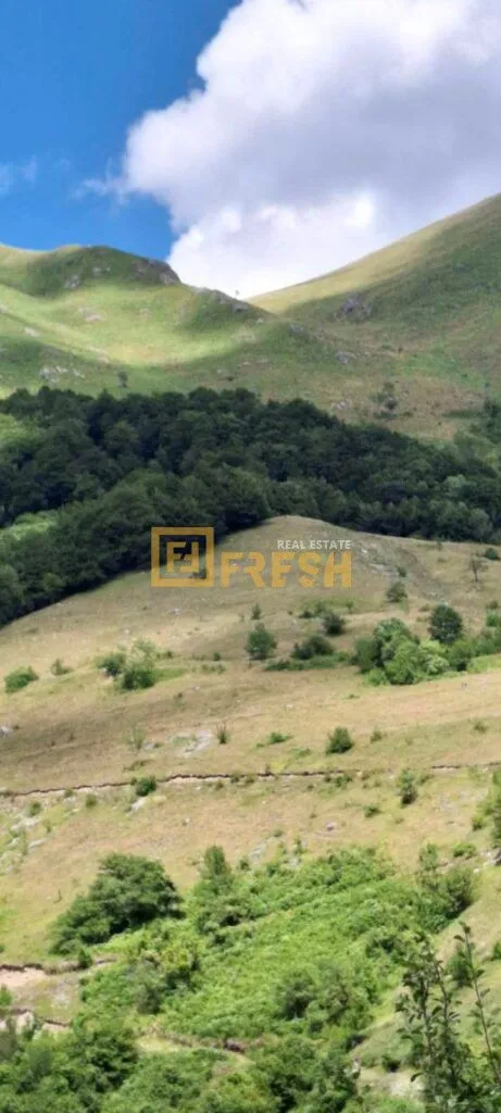 Prodaja, plac, 162000m², Kolašin, Crna Gora