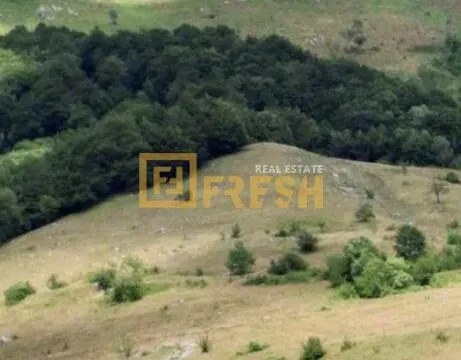 Prodaja, plac, 162000m², Kolašin, Crna Gora - image 3